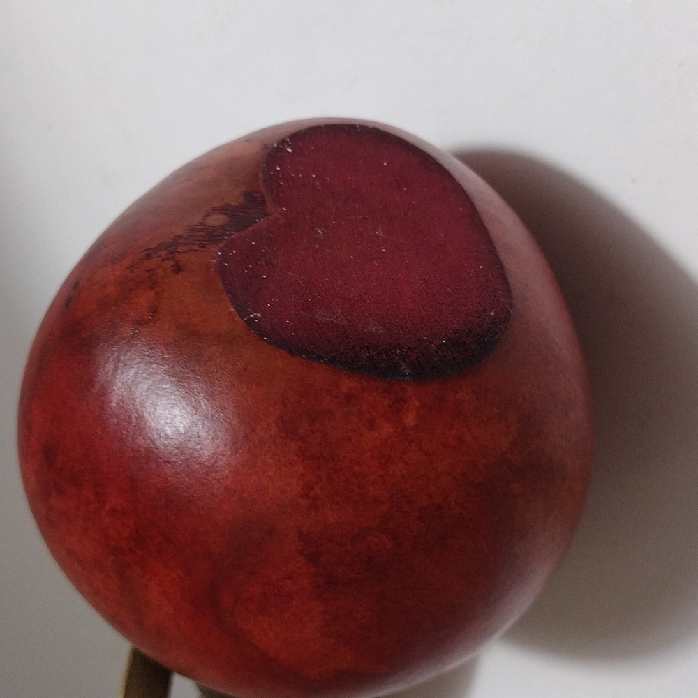Angel Gourd - Picture 4 of 4